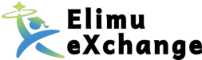 ElimuX Logo
